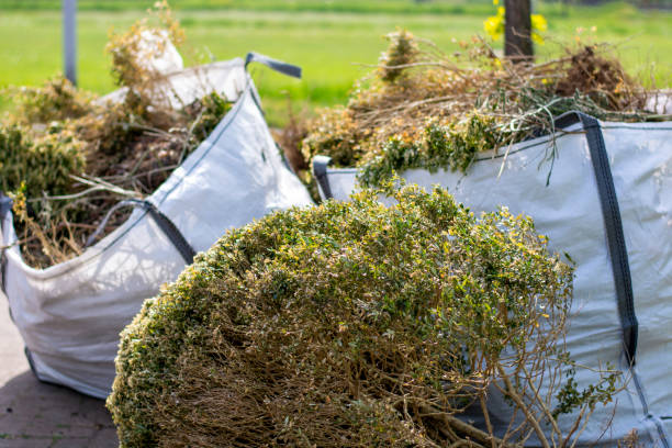 Best Yard Waste Removal  in Paris, TN